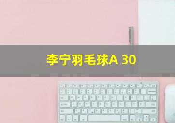 李宁羽毛球A 30